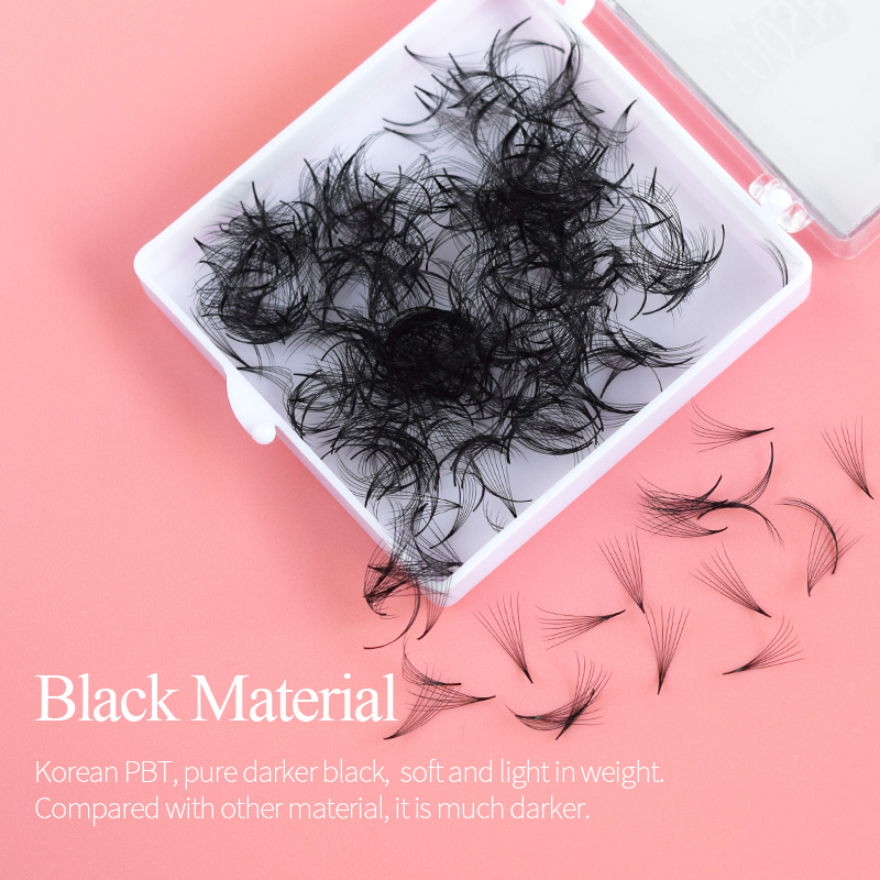 Song Lashes Promade Fans 3D-10 - Eyelash Extension Course recension och pris