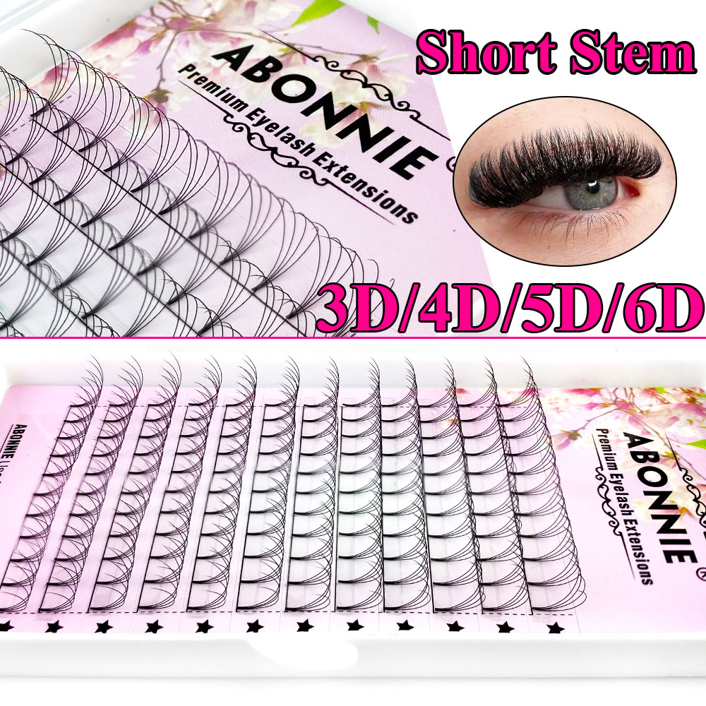 Abonnie 6D Narrow Fan Premade  - Eyelash Extension Course recension och pris